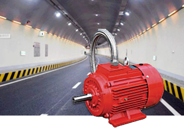 High Temperature Fire-Fighting Motor